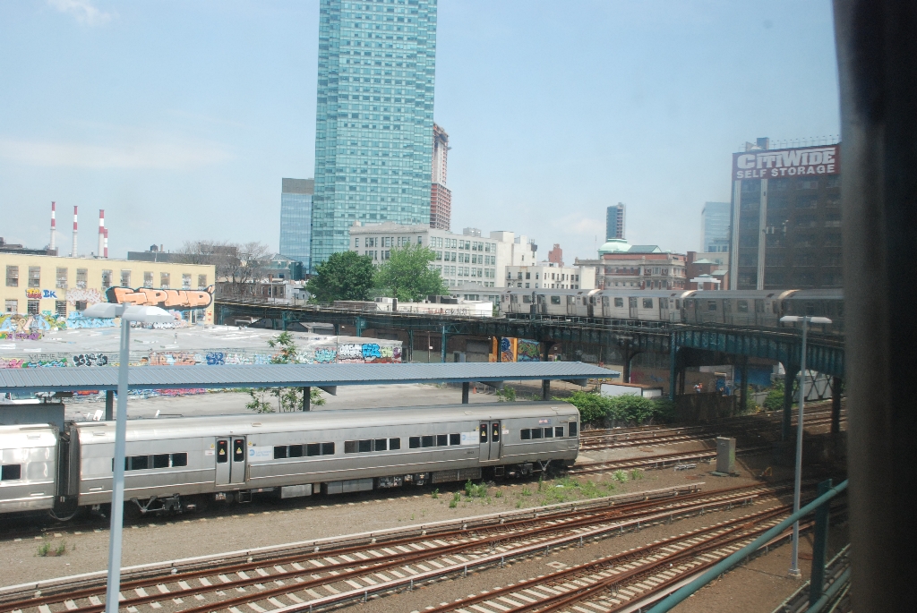 DSC_7239.JPG